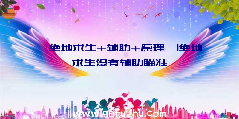 「绝地求生+辅助+原理」|绝地求生没有辅助瞄准嘛